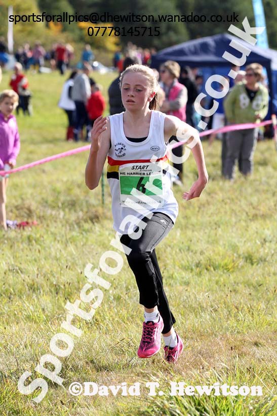 Girls under-13s, North East Harrier League, Cramlington. Photo: David T. Hewitson/Sports for All Pics